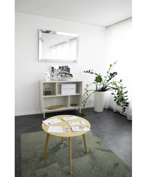 Salon mit Pflanzen